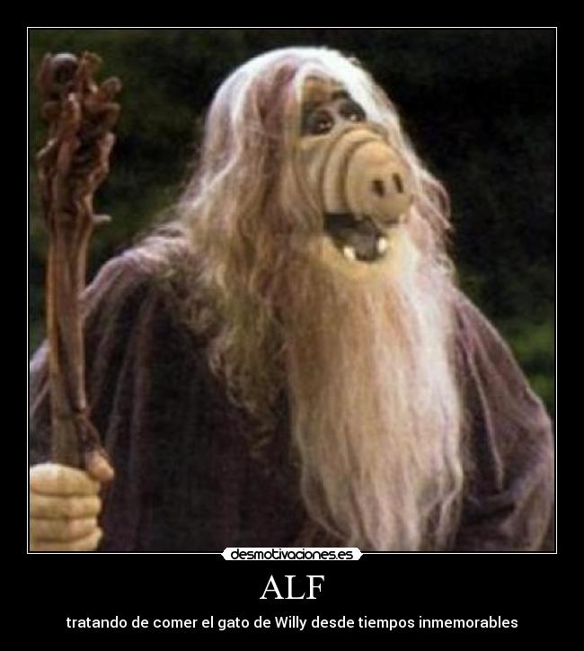 ALF -