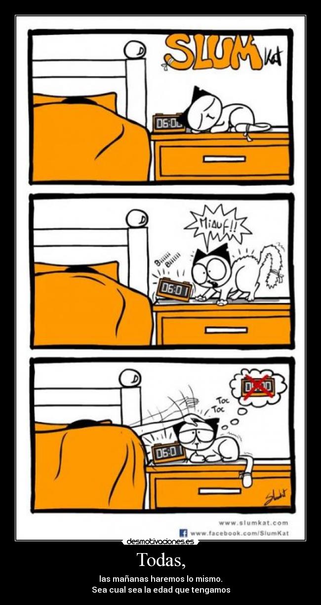 carteles clan catkillers aprendido recientemente desmotivaciones