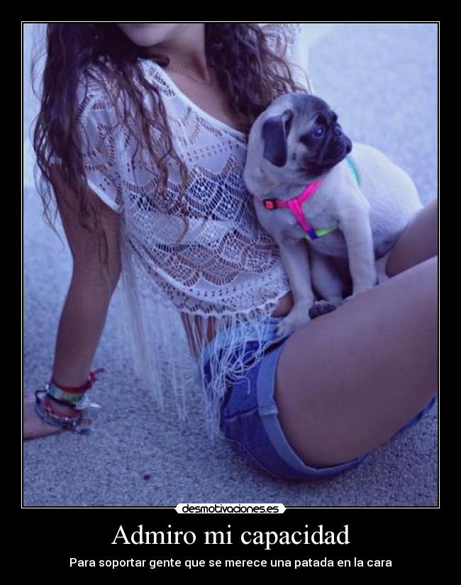 Admiro mi capacidad - Para soportar gente que se merece una patada en la cara