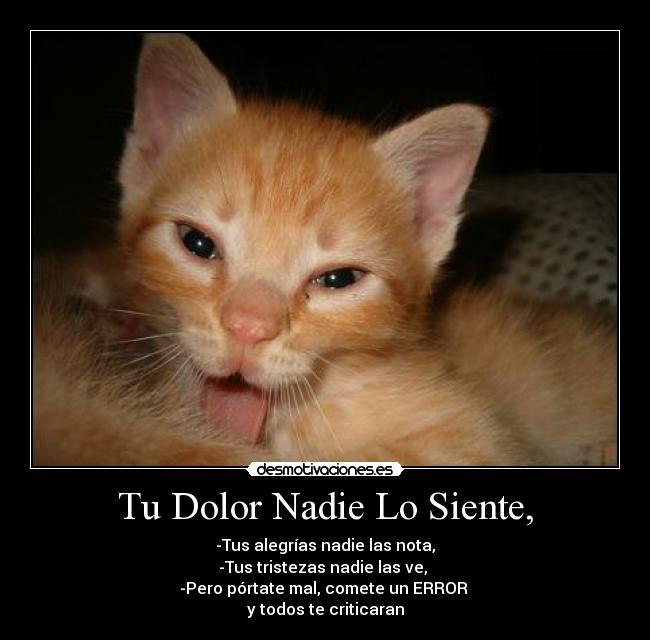 Tu Dolor Nadie Lo Siente, - -Tus alegrías nadie las nota,
-Tus tristezas nadie las ve,
-Pero pórtate mal, comete un ERROR
y todos te criticaran