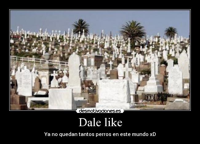 carteles like desmotivaciones