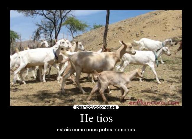 He tios - estáis como unos putos humanos.