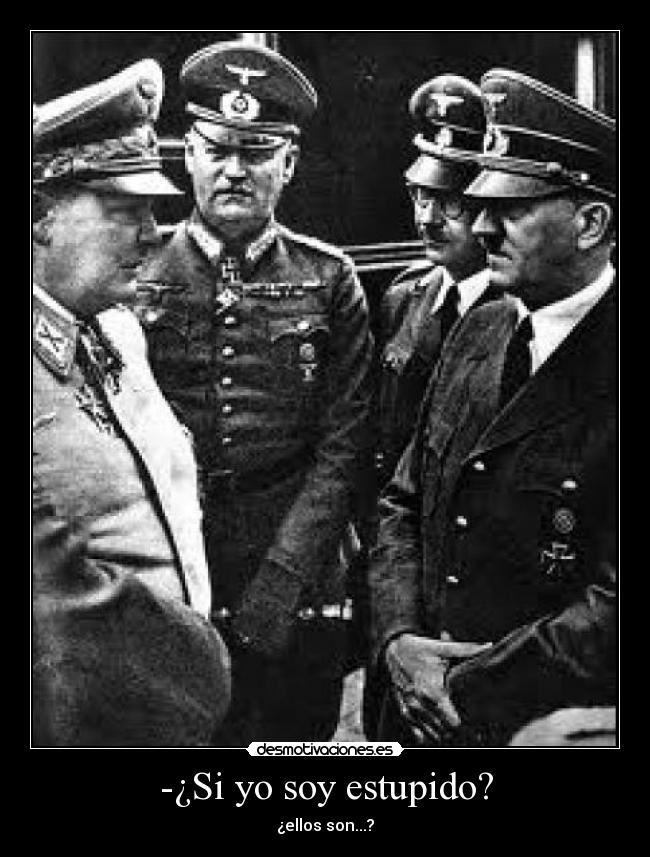 -¿Si yo soy estupido? - 