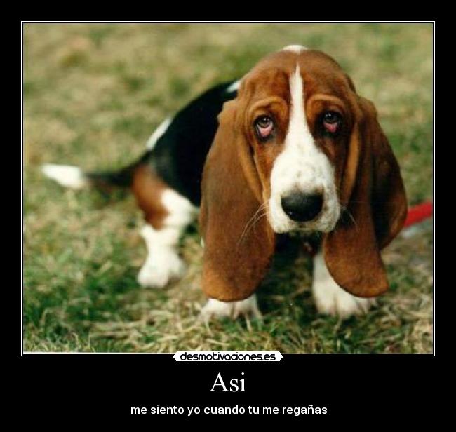 Asi - me siento yo cuando tu me regañas
