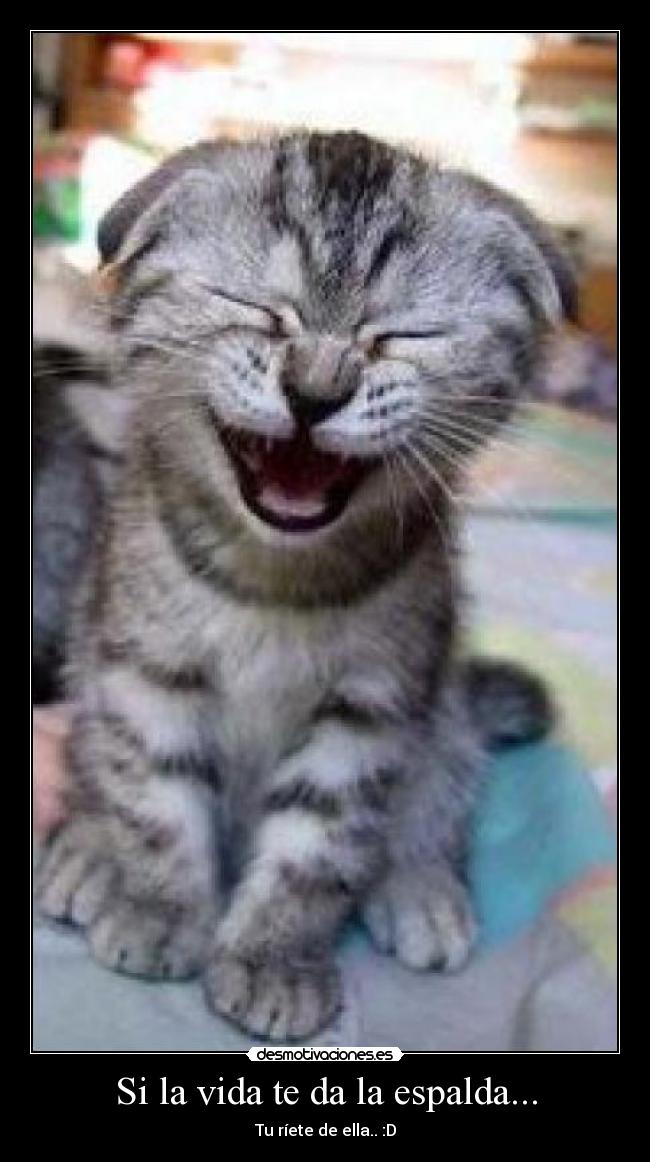 Si la vida te da la espalda... - Tu ríete de ella.. :D