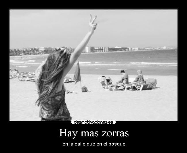 Hay mas zorras -