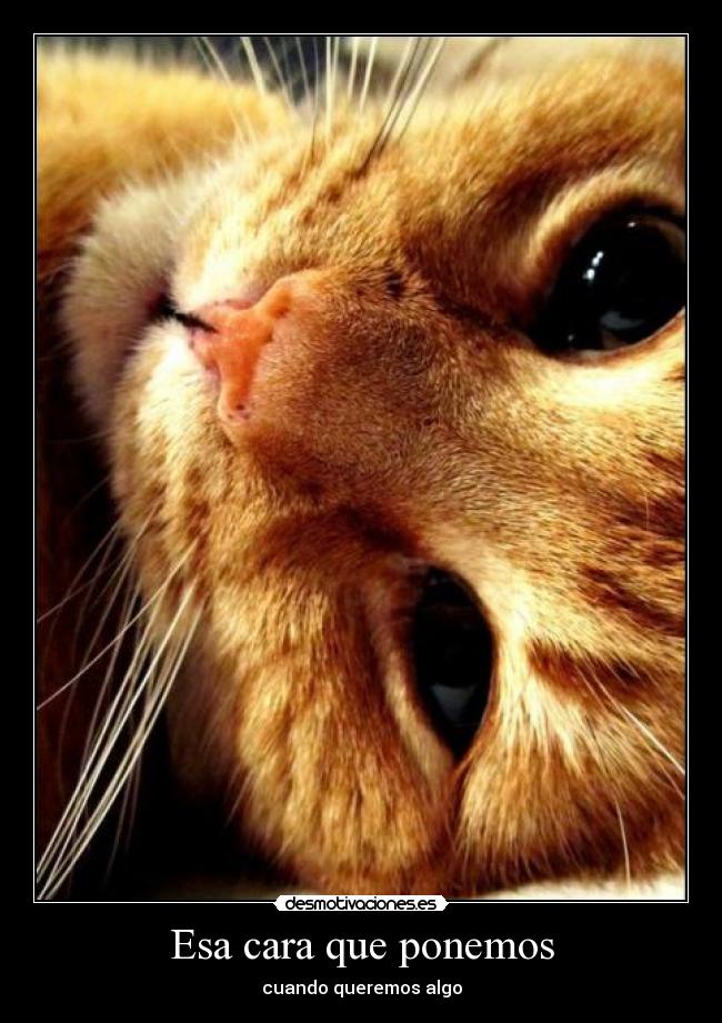 Esa cara que ponemos - 