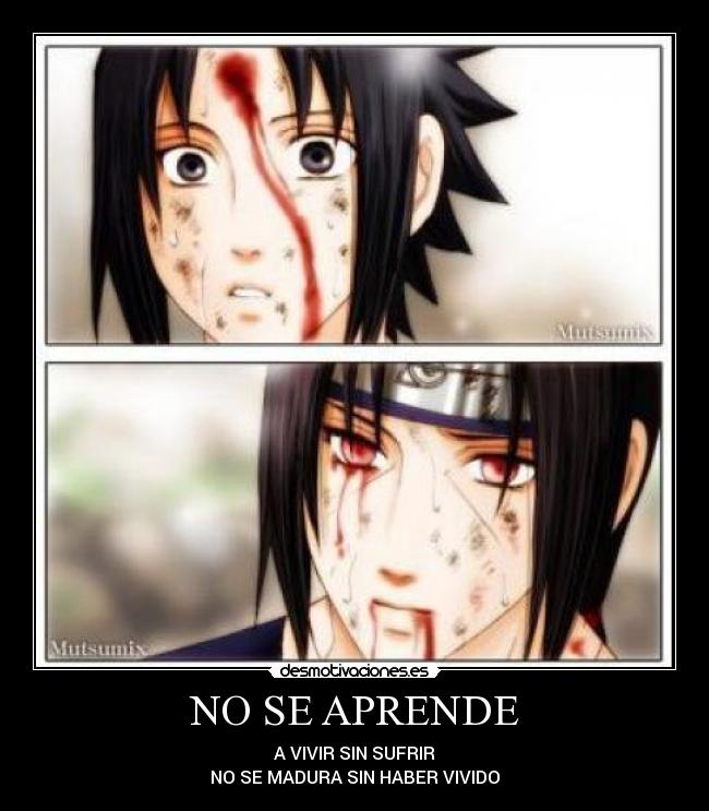 NO SE APRENDE - A VIVIR SIN SUFRIR
NO SE MADURA SIN HABER VIVIDO