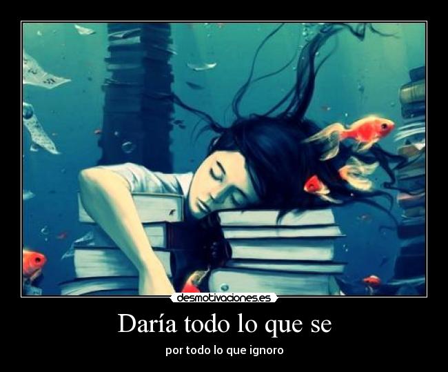 Daría todo lo que se - por todo lo que ignoro