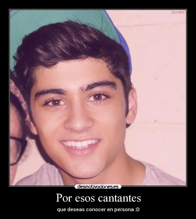 carteles zaynermalik desmotivaciones
