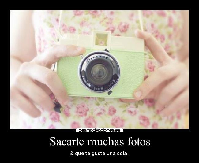 Sacarte muchas fotos - 