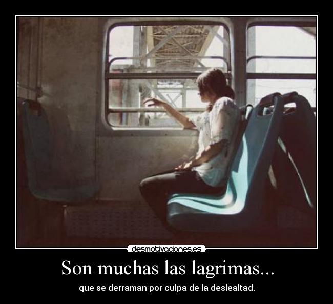 carteles wapipoyo desmotivaciones