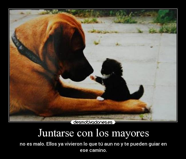 Juntarse con los mayores -