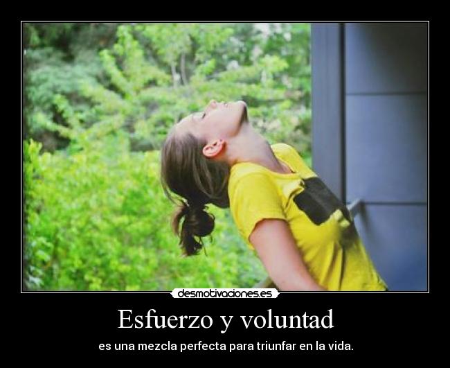 Esfuerzo y voluntad - es una mezcla perfecta para triunfar en la vida.