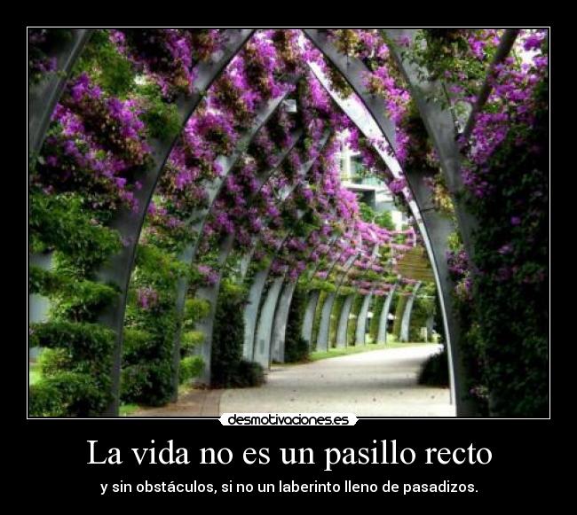 La vida no es un pasillo recto - y sin obstáculos, si no un laberinto lleno de pasadizos.