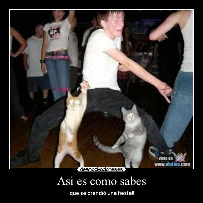 Asi es como sabes - 
