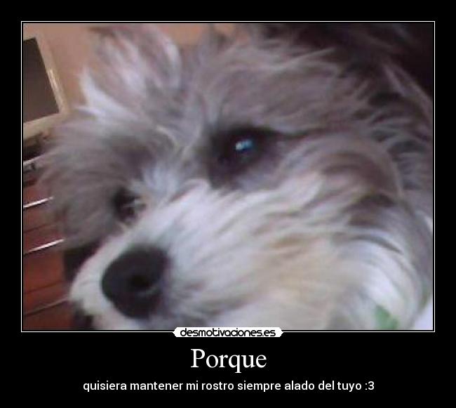 Porque - quisiera mantener mi rostro siempre alado del tuyo :3