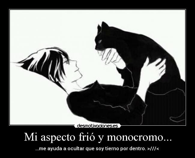 Mi aspecto frió y monocromo... -