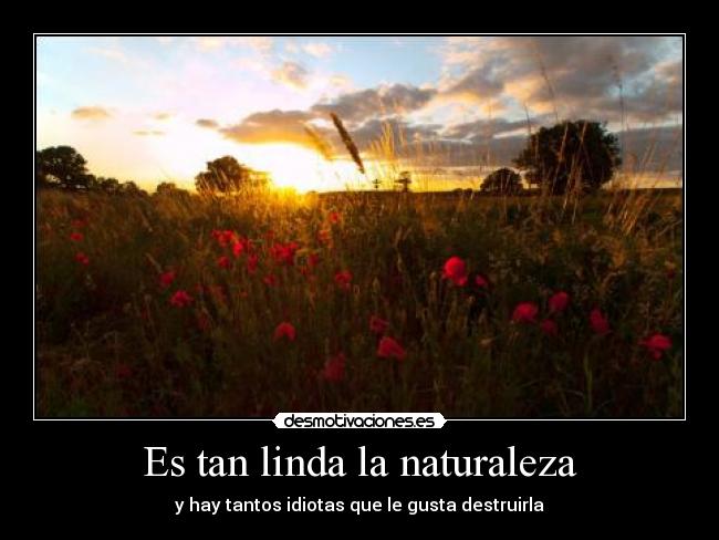 Es tan linda la naturaleza - y hay tantos idiotas que le gusta destruirla