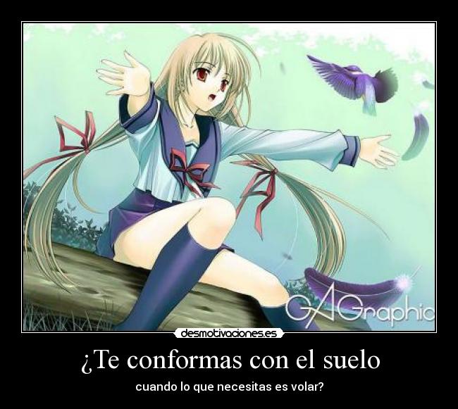 ¿Te conformas con el suelo - 