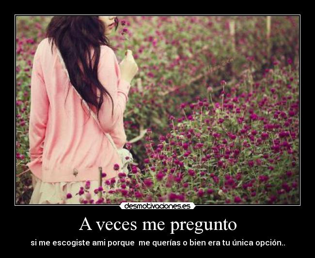 carteles veces pregunto desmotivaciones