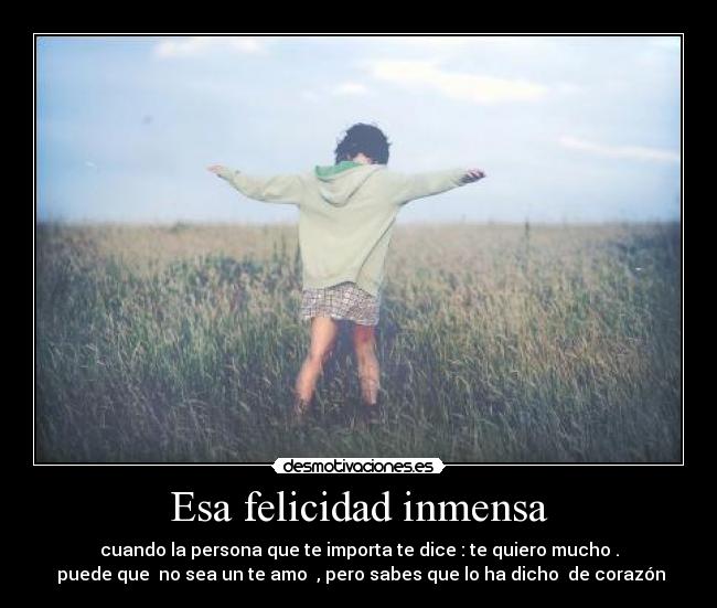 Esa felicidad inmensa - 