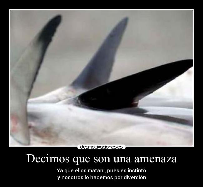 Decimos que son una amenaza -