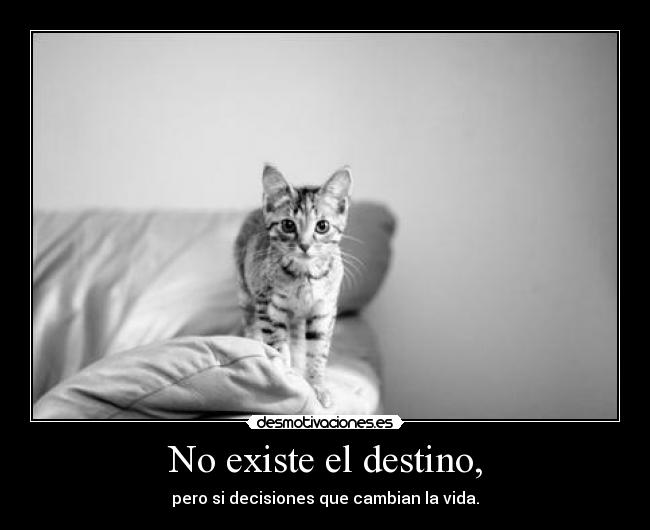No existe el destino, - 