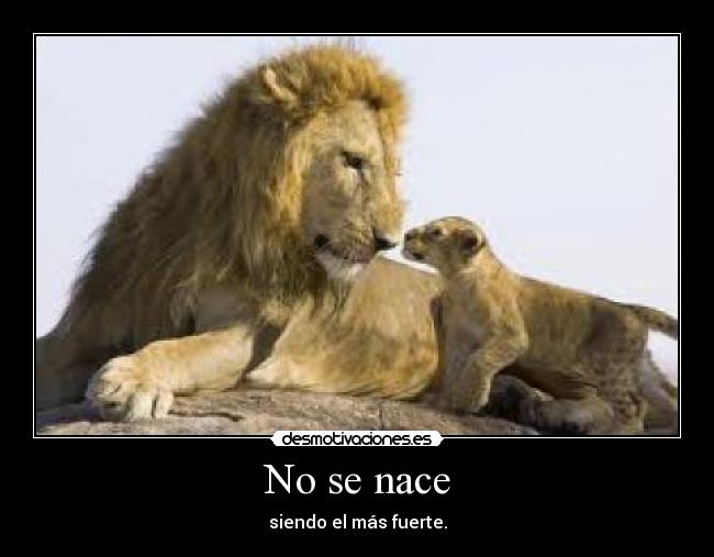 No se nace - siendo el más fuerte.