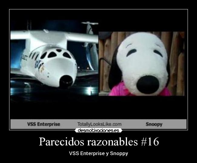 Parecidos razonables #16 -