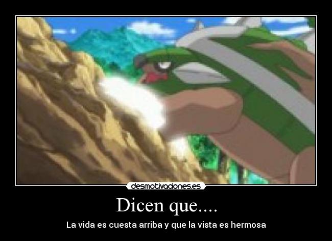 Dicen que.... - La vida es cuesta arriba y que la vista es hermosa