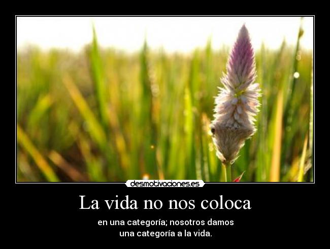 La vida no nos coloca -