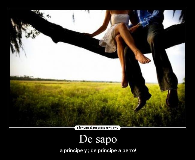 De sapo -