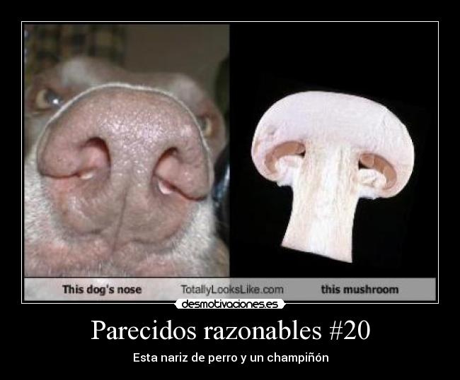 carteles desmotivaciones