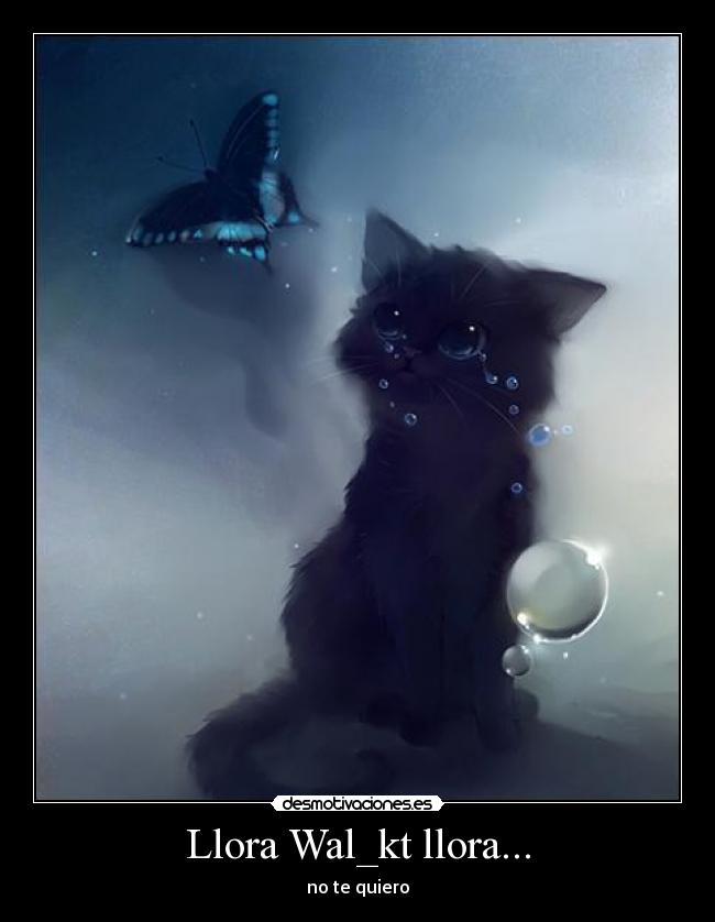 Llora Wal_kt llora... - no te quiero