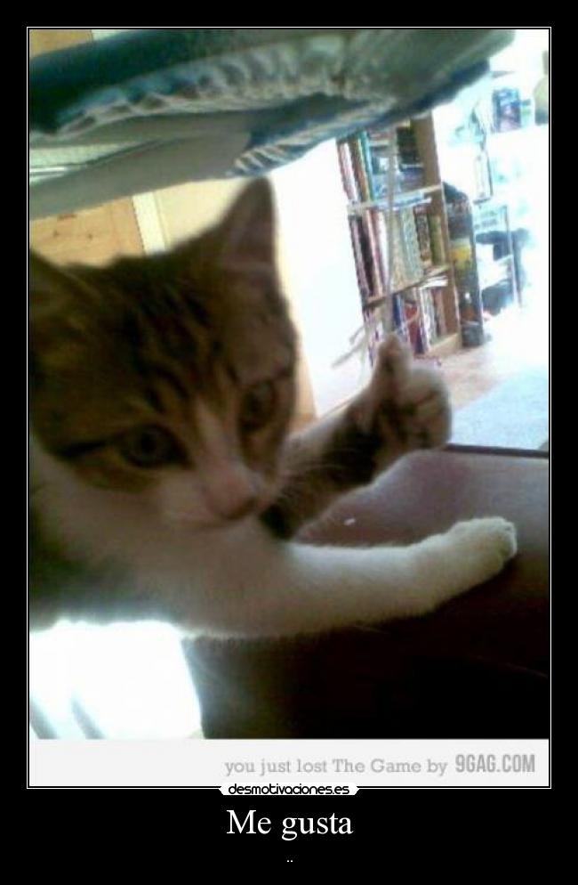 Me gusta - ..