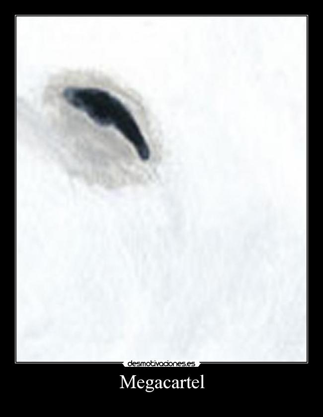 Megacartel -