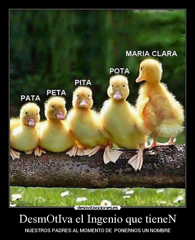 DesmOtIva el Ingenio que tieneN - NUESTROS PADRES AL MOMENTO DE PONERNOS UN NOMBRE