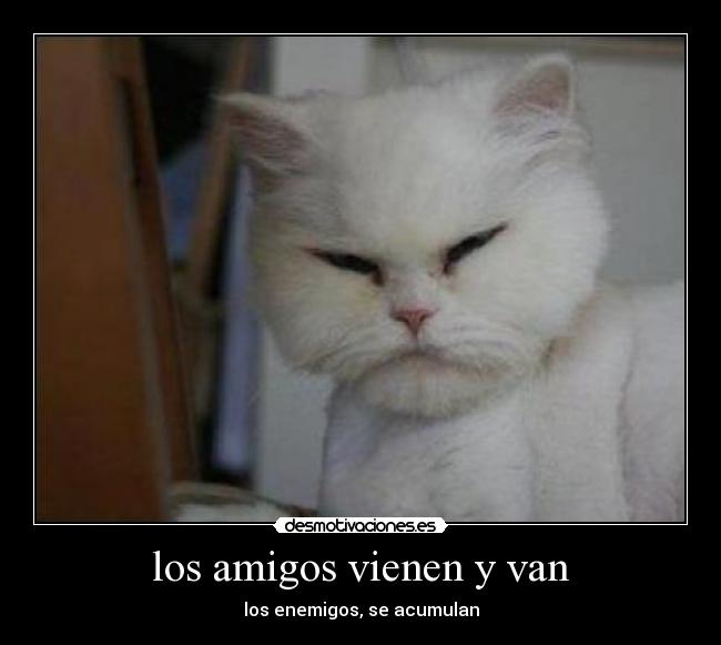 los amigos vienen y van - 