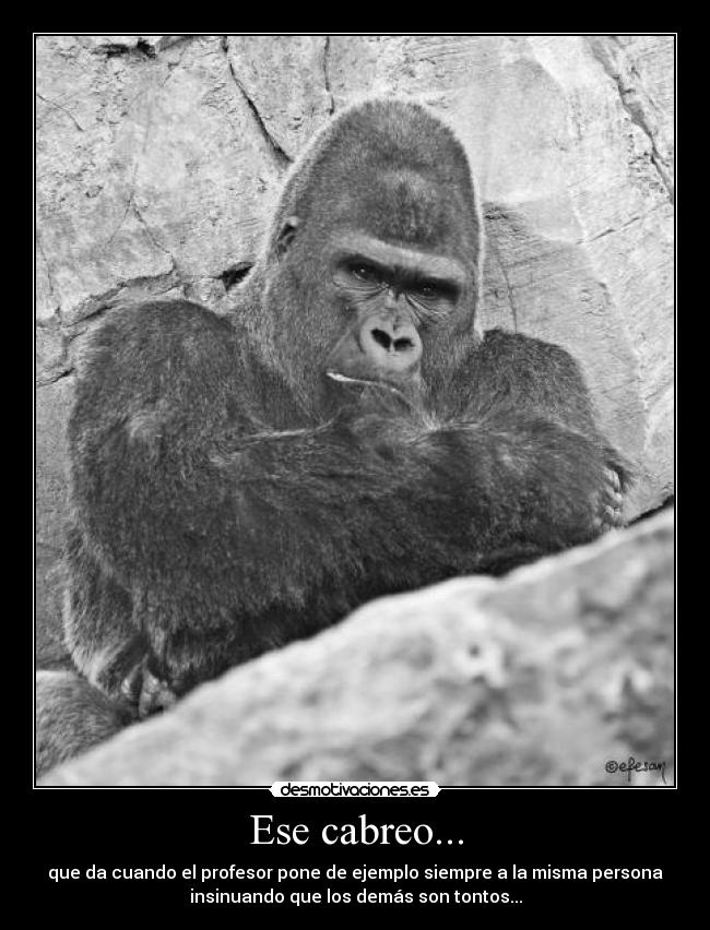 Ese cabreo... - que da cuando el profesor pone de ejemplo siempre a la misma persona
insinuando que los demás son tontos...