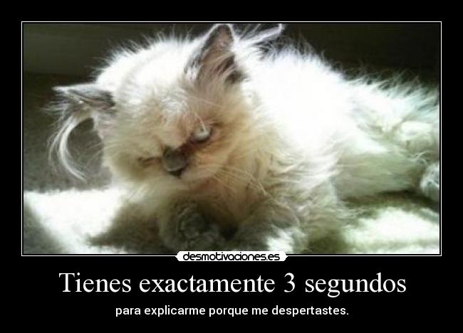 Tienes exactamente 3 segundos - para explicarme porque me despertastes.