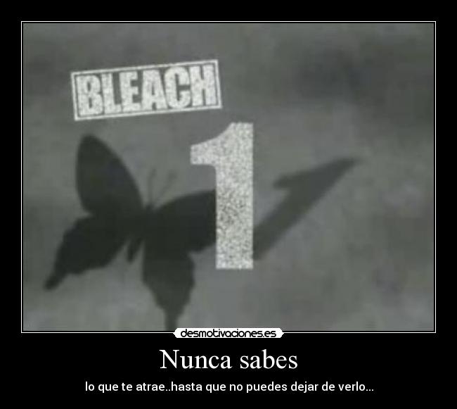 Nunca sabes - lo que te atrae..hasta que no puedes dejar de verlo...