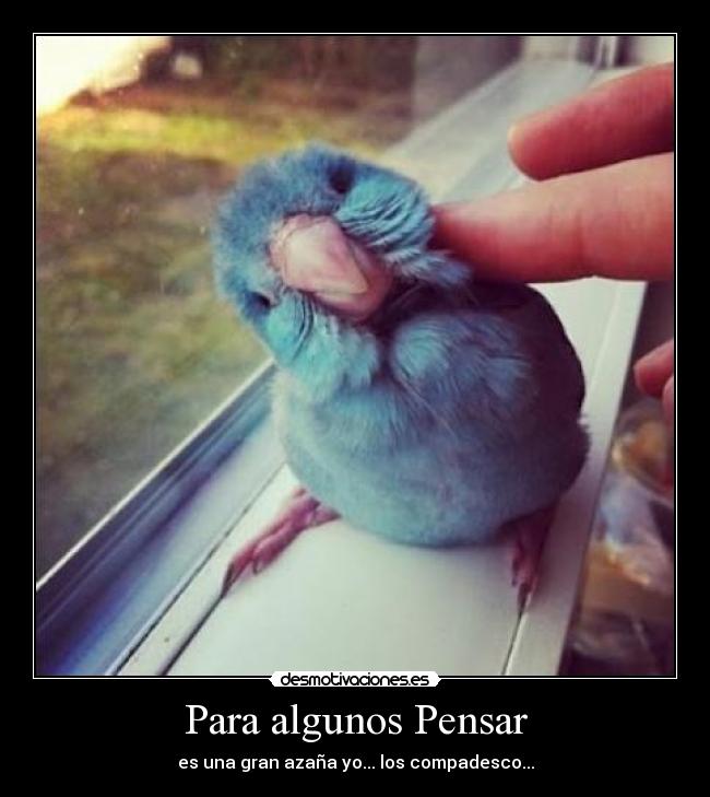 Para algunos Pensar - es una gran azaña yo... los compadesco...