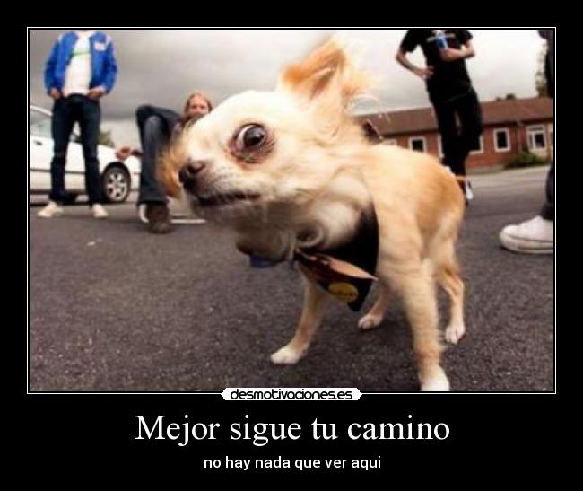 Mejor sigue tu camino - no hay nada que ver aqui