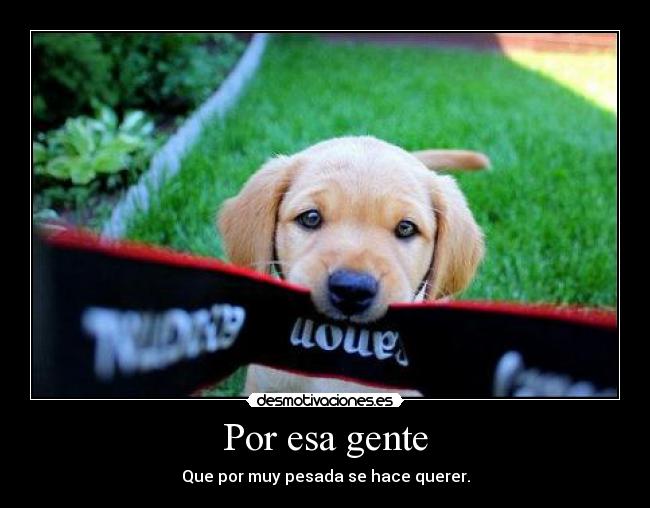 Por esa gente - Que por muy pesada se hace querer.