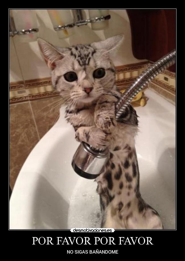 POR FAVOR POR FAVOR - NO SIGAS BAÑANDOME