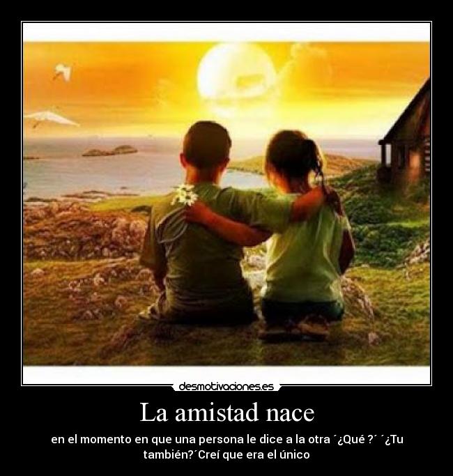 La amistad nace -
