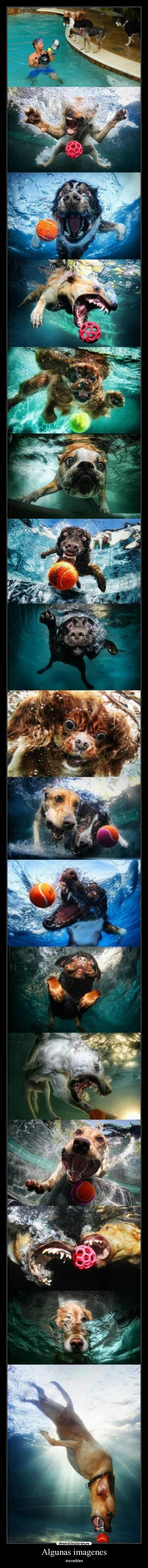 Algunas imagenes - increibles