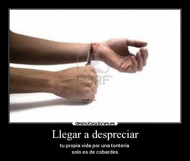 Llegar a despreciar - tu propia vida por una tonteria
solo es de cobardes.