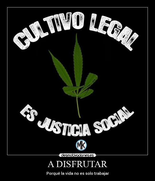 A DISFRUTAR - 